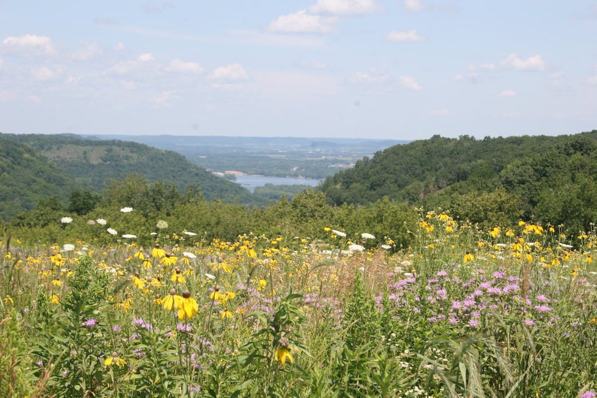 Great river bluffs state park CP - Winona Community Foundation