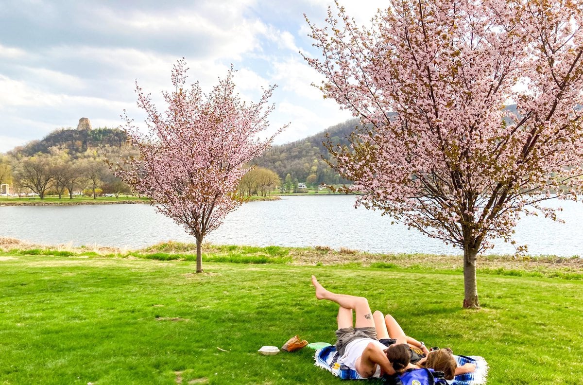 Spring Cherry Blossoms Lake Winona scaled - Winona Community Foundation